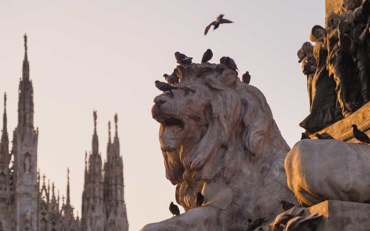 lionhead statue with birds sitting on top